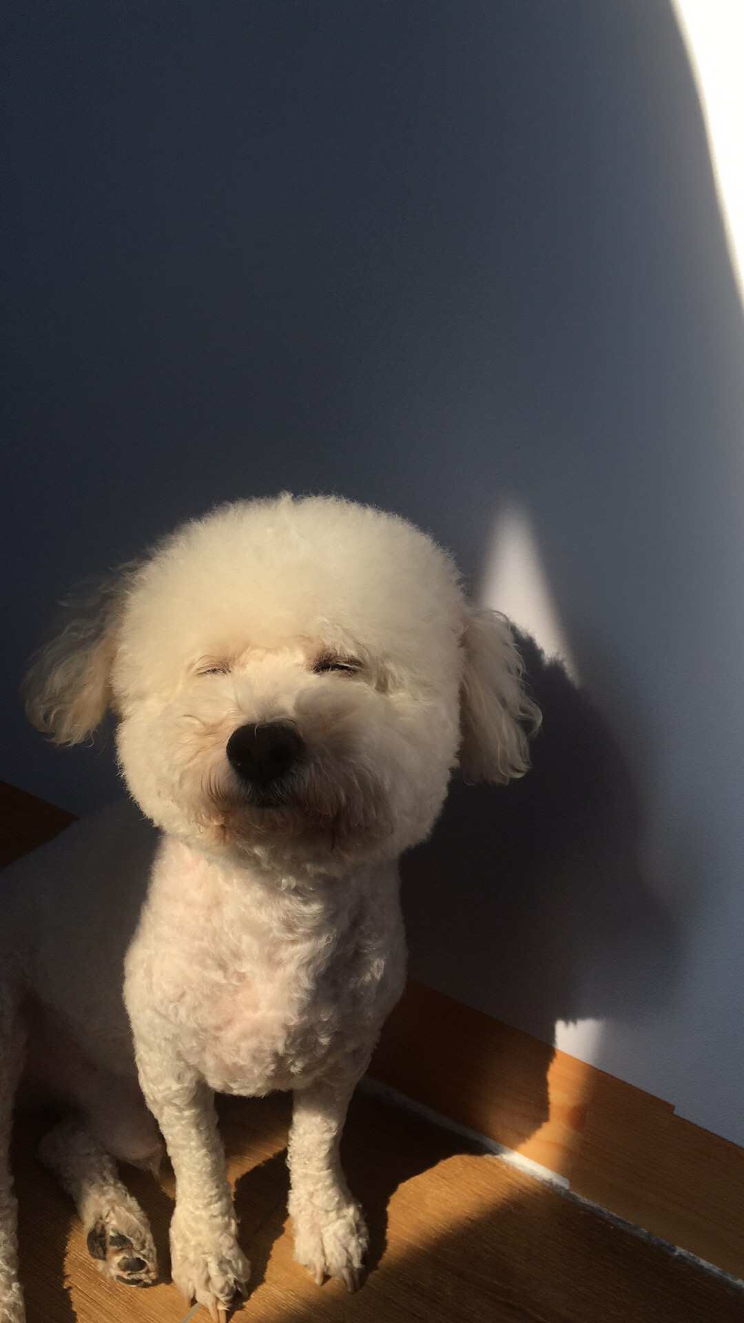 求助眠好物！感激