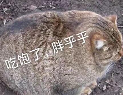 里尔有出护目镜和防护服嘛？或者哪里可以买…