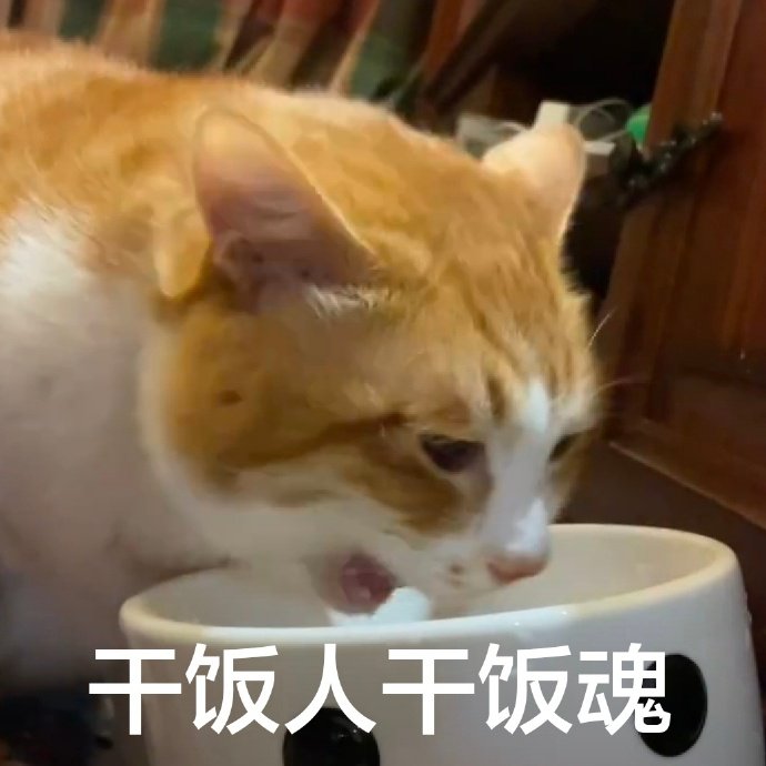 求推荐巴黎好吃的包子铺