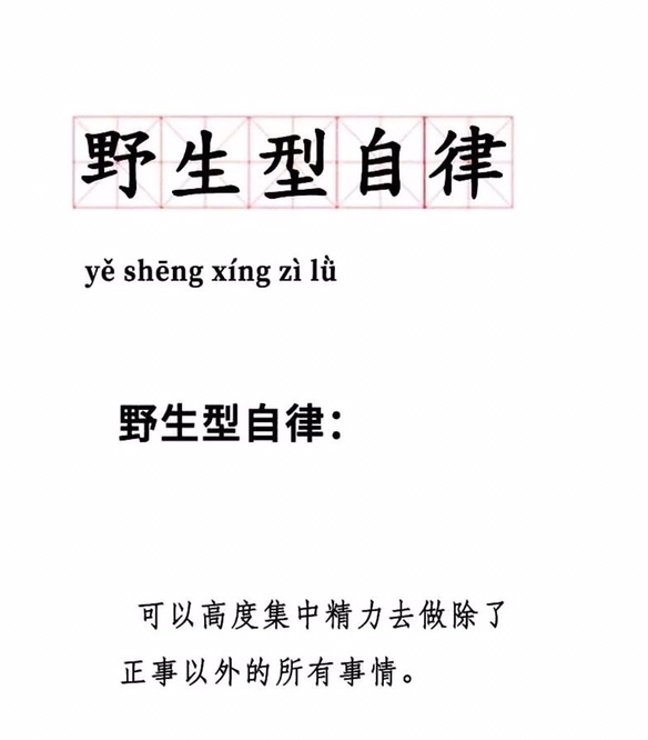 有ipad游戏推荐吗