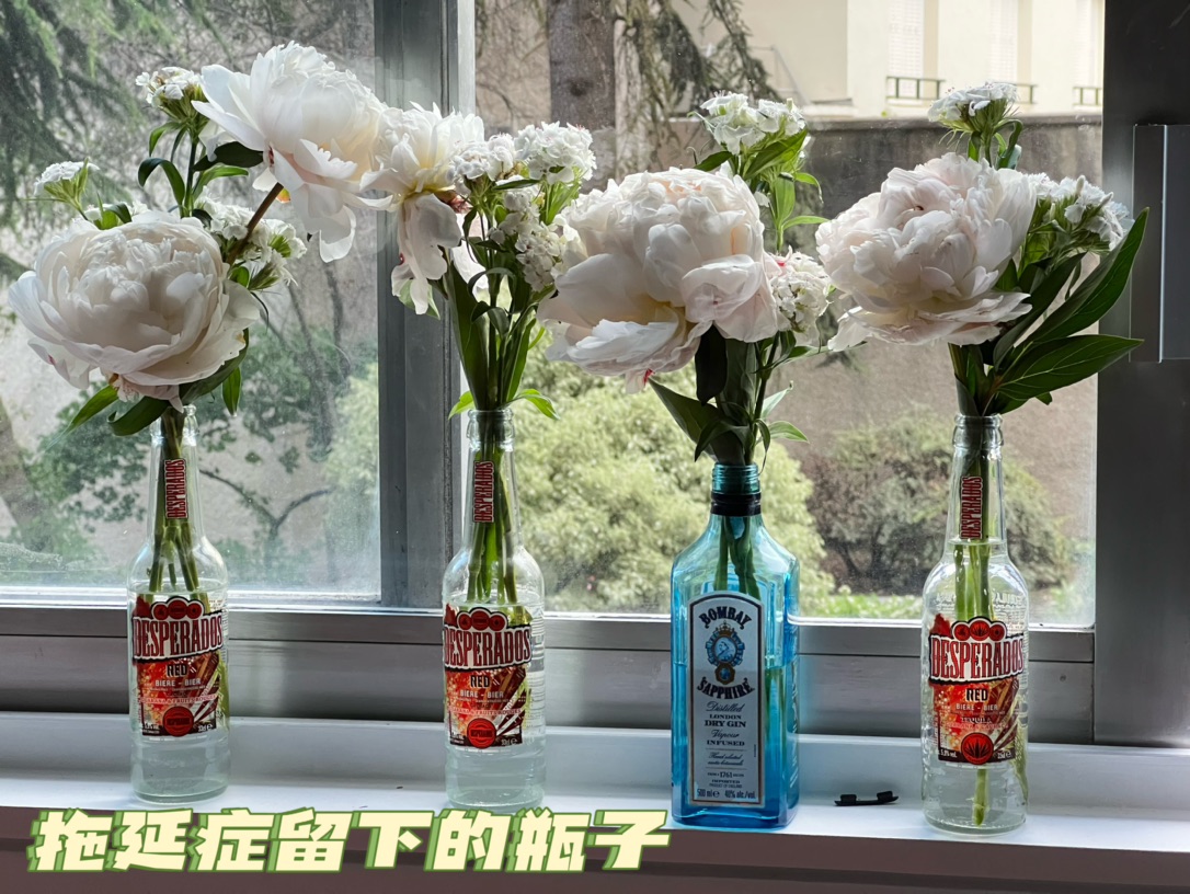 周末｜“网友”会面｜秃头芍药历险记