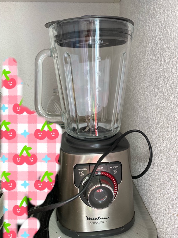 blender moulinex lm811d10