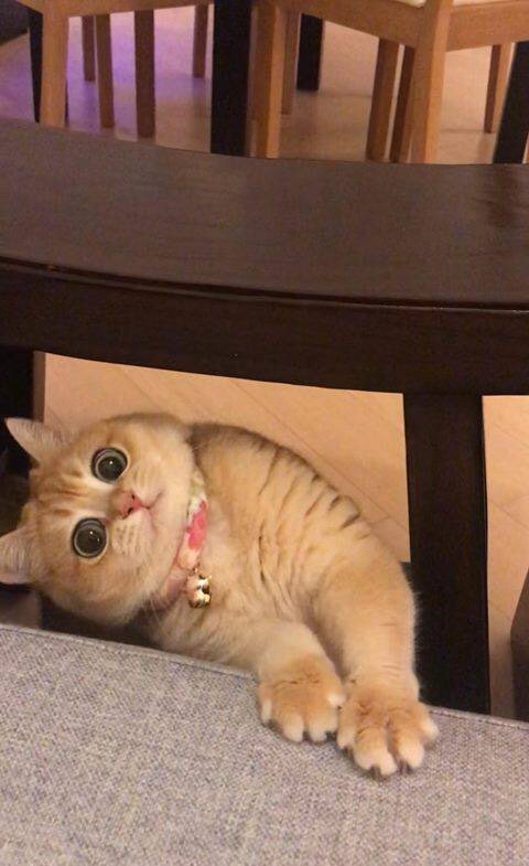 最近有没有什么好看美剧呀!