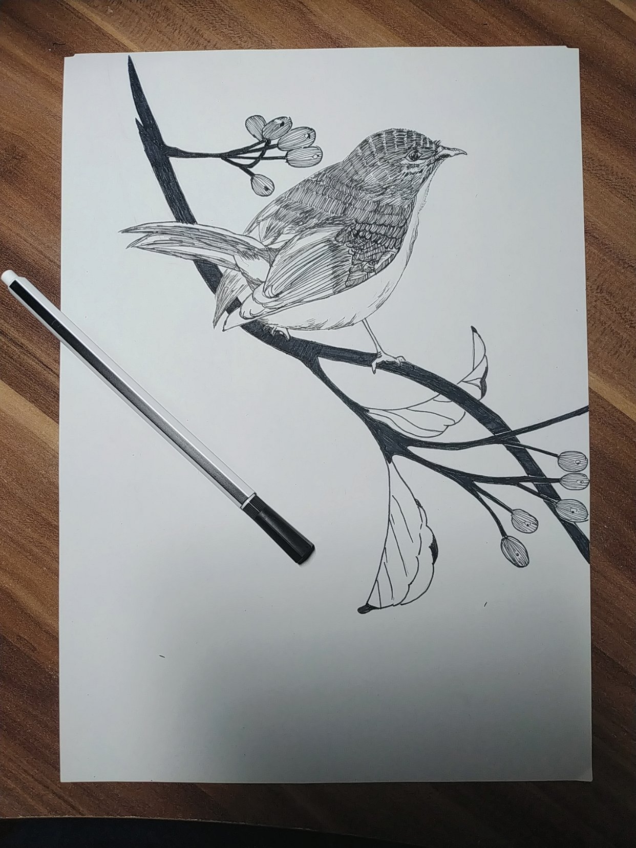 深夜总是能静心,这是什么毛病?
