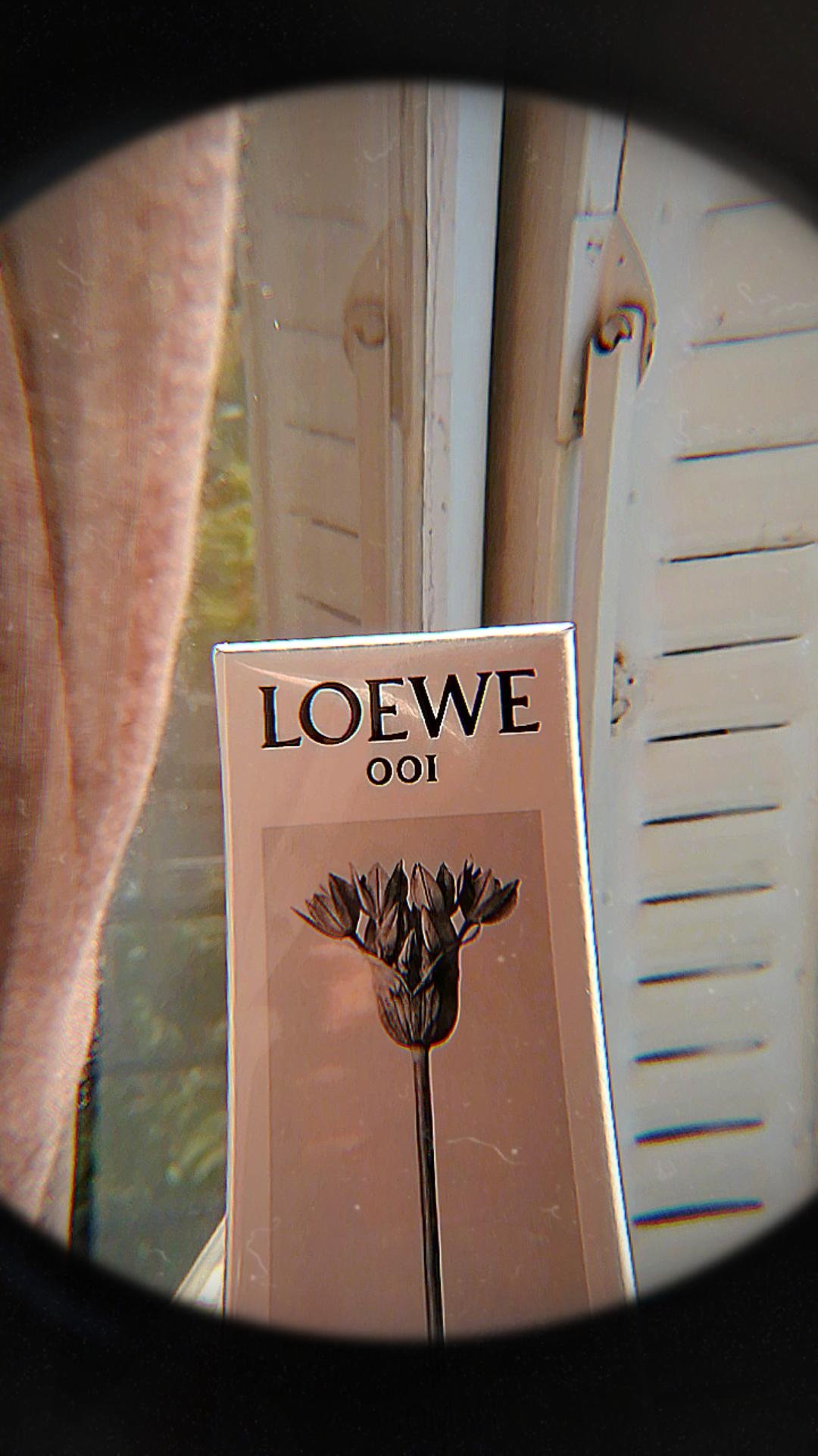 loewe 001 for women，温柔姐姐香～