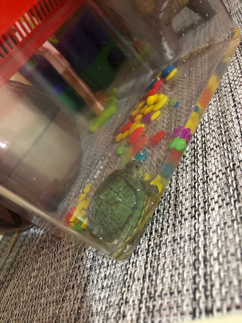 【今天的收获】