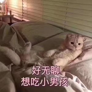 睡不着呀～