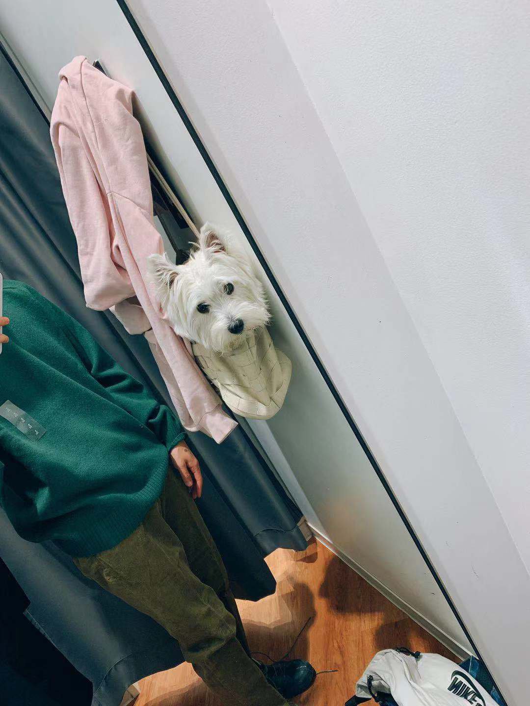 惨兮兮