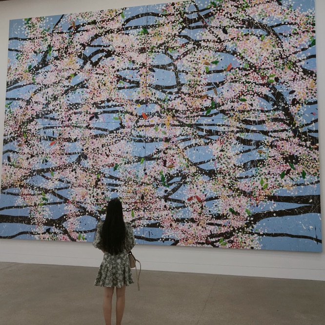 Damien Hirst的樱花绽放和七夕最配