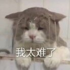 Antony的APS办理