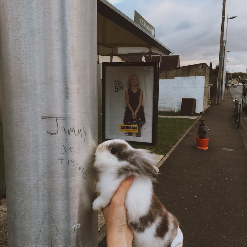 原来是个女孩纸🐰