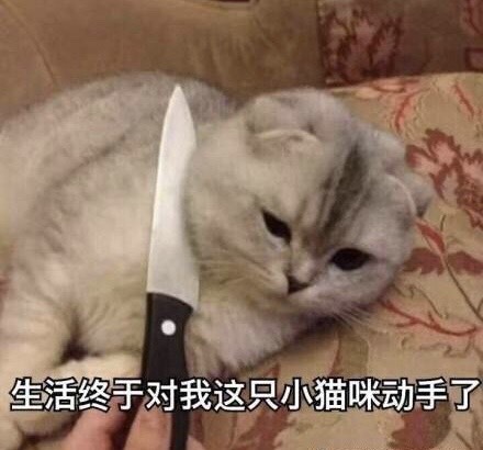 吃饭差点被偷！