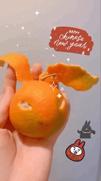 心想事🍊小兔吉🐰✨