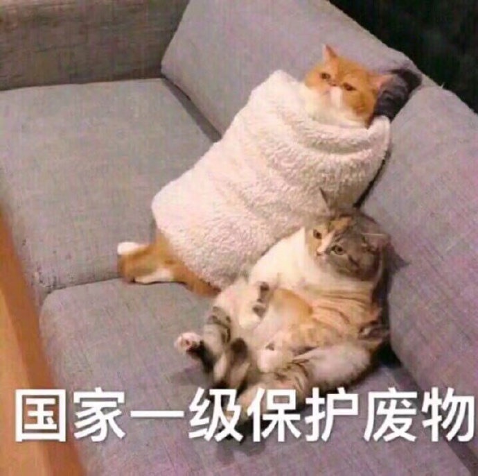 有朋友知道申请免费的mutuelle可以报销hpv疫苗吗