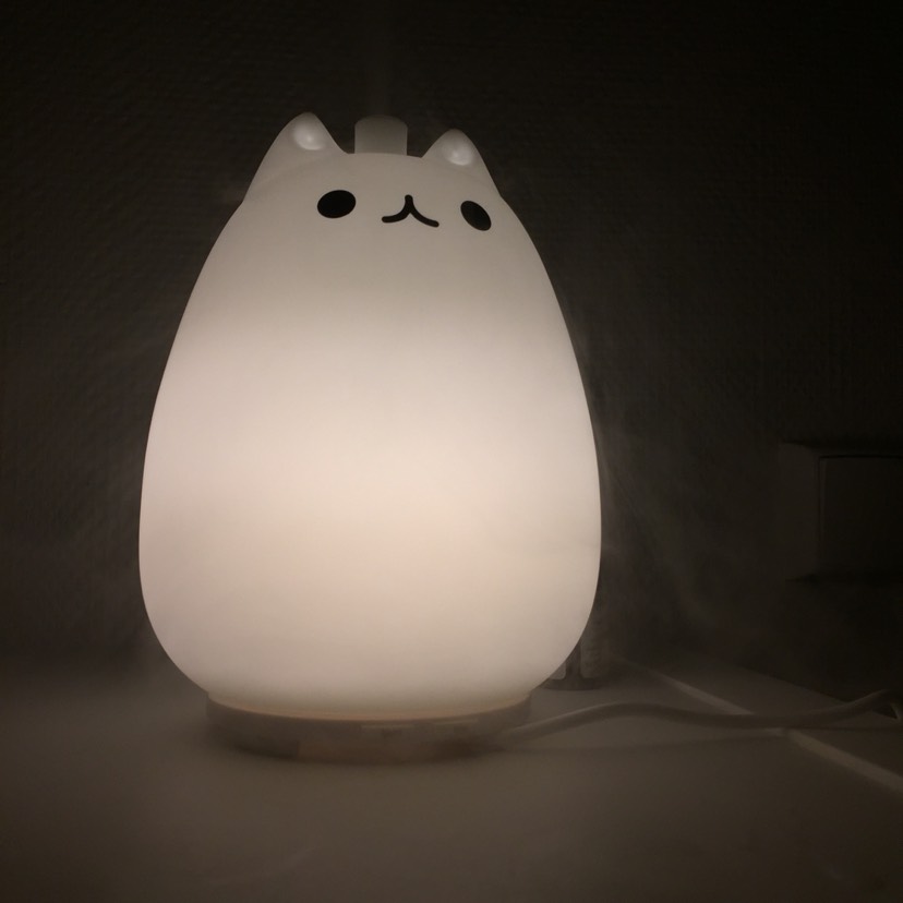 天干物燥,你需要一只猫咪呼吸加湿器(☝︎ ՞ਊ ՞)☝︎