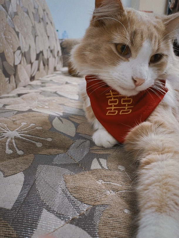 今日文案💛