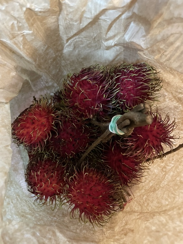 Mon marché 又是快乐的一天