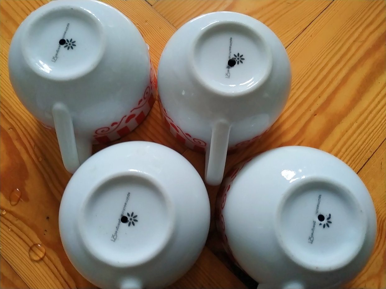 闲置的杯子或者各种瓷器，实现花盆自由的利器(附方法)