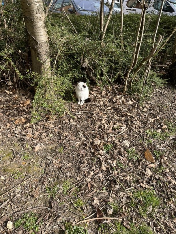 最大的谎言大概就是pref