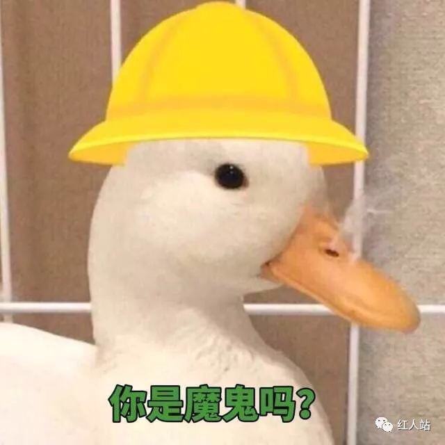 对邮局的日常吐槽！！
