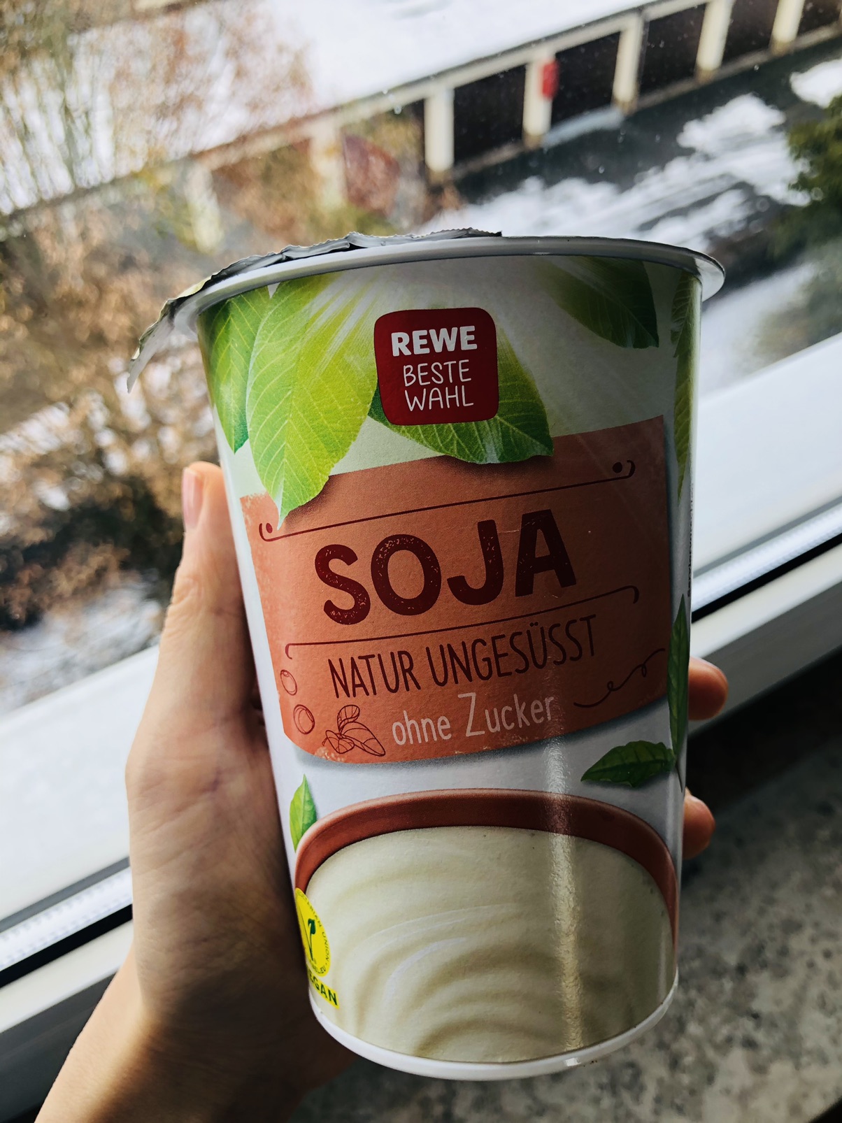 好喝的豆乳酸奶
