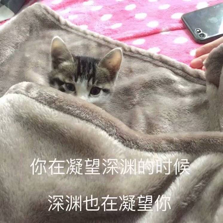求拉里尔二手群~