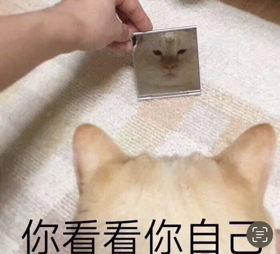 求问:布衣格的电话卡网络套餐在瑞士可以用吗
