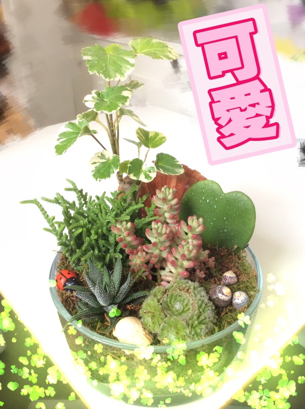 没有一朵花也一样美丽