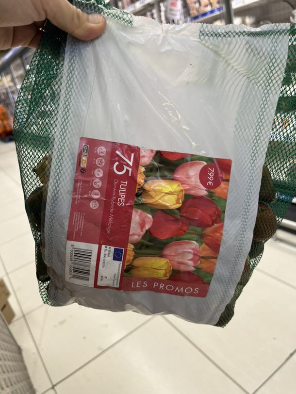 家乐福 郁金香花球