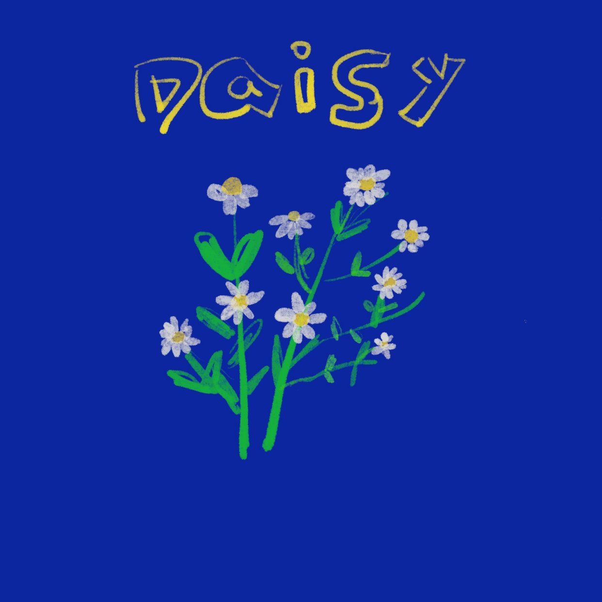 邀请大家赏花（画）啦～