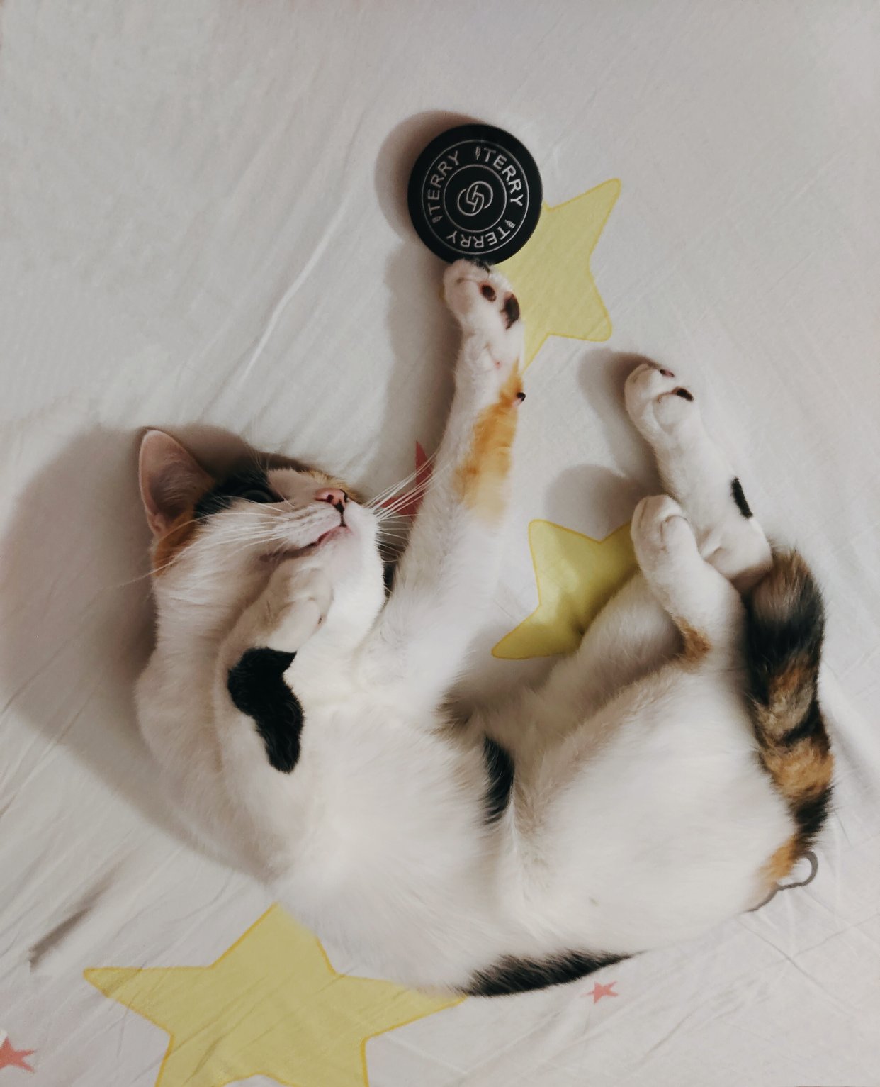 小东西!还挺可爱!