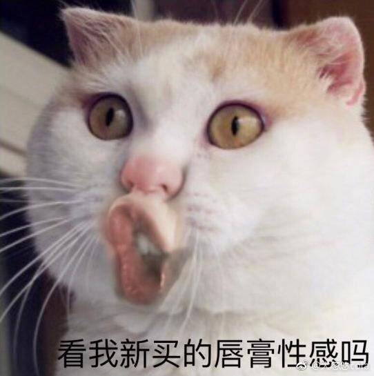 求Tom Ford色号和抗初老精华推介~比❤️