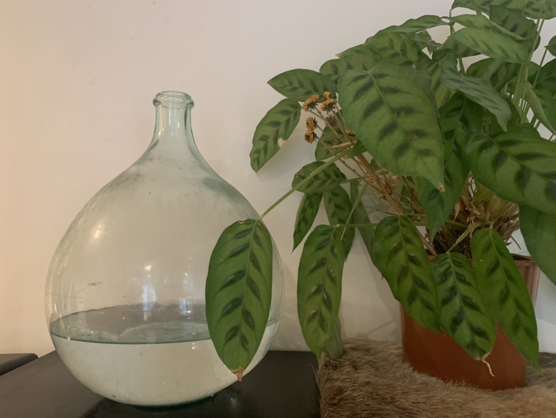 Ballon en verre