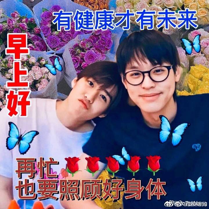 巴黎戴牙套求攻略或推荐！