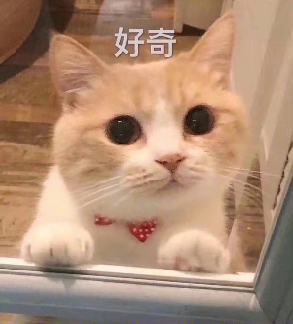请问有得过荨麻疹的姐妹吗..