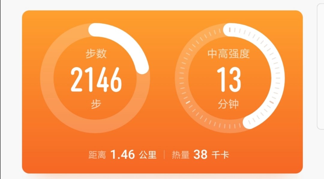 健身打卡：Day19