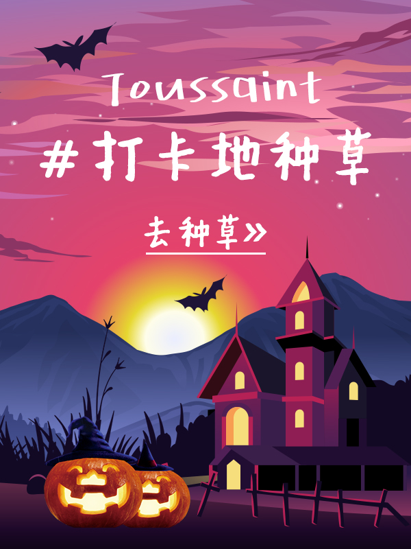 Toussaint出行种草大会