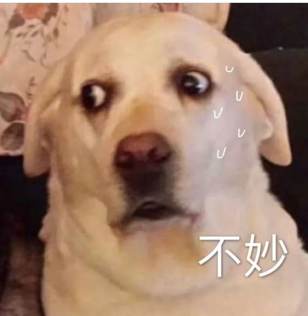 丝芙兰 娇韵诗积分