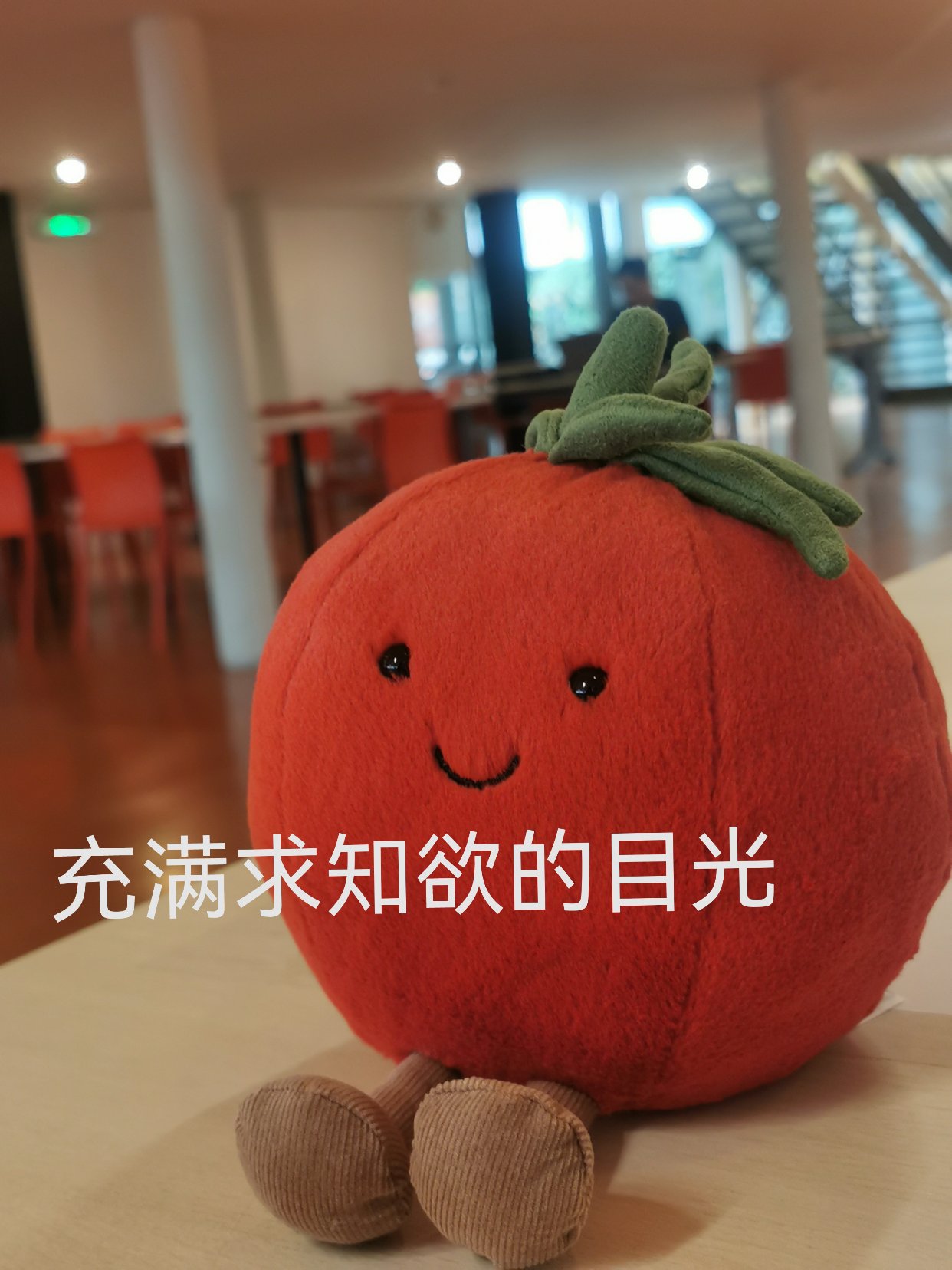 红彤彤陪读记