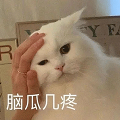 Vinted 求助