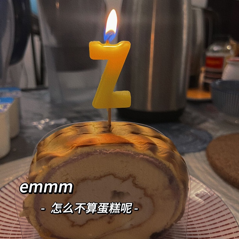 今年虽然搬了大房子很开心