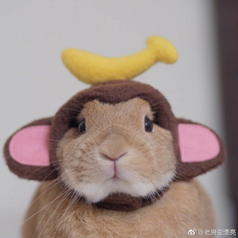 求助：巴黎私教or瑜伽