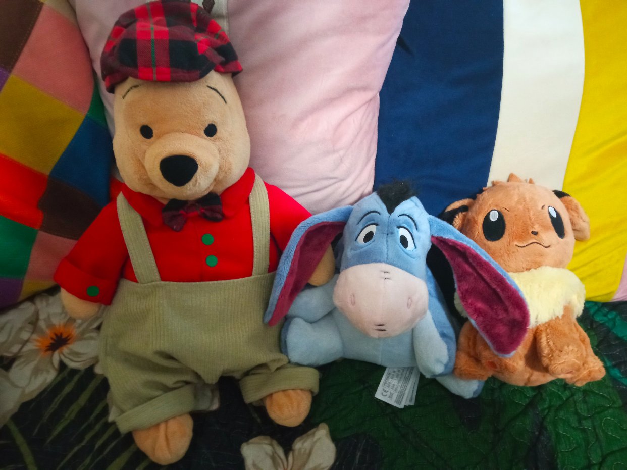 尼尼，伊尔和乱入的伊布，皮卡丘...