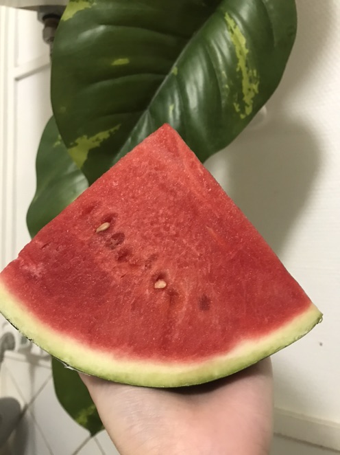 今年目前吃到的西瓜天花板