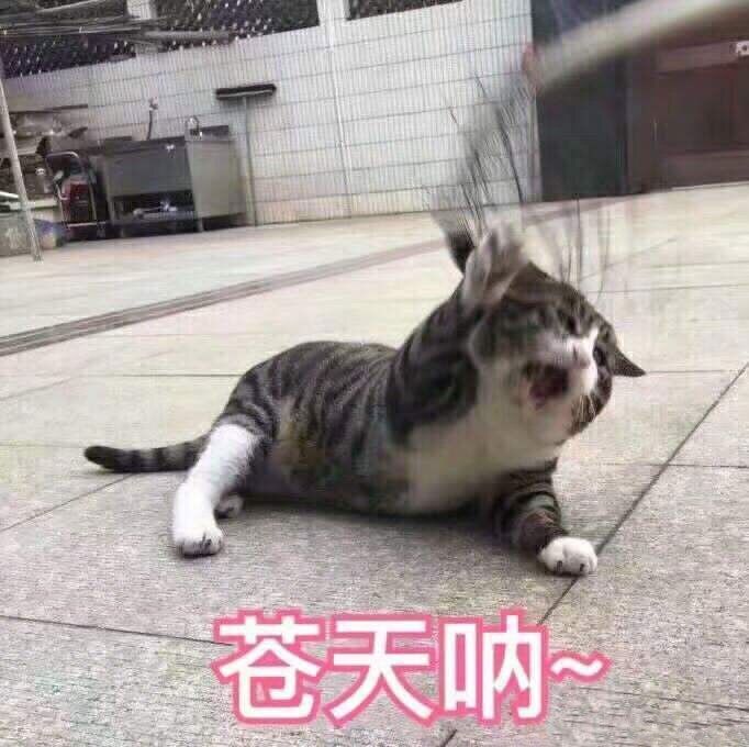 求推荐好用的去鼻子上白头的产品
