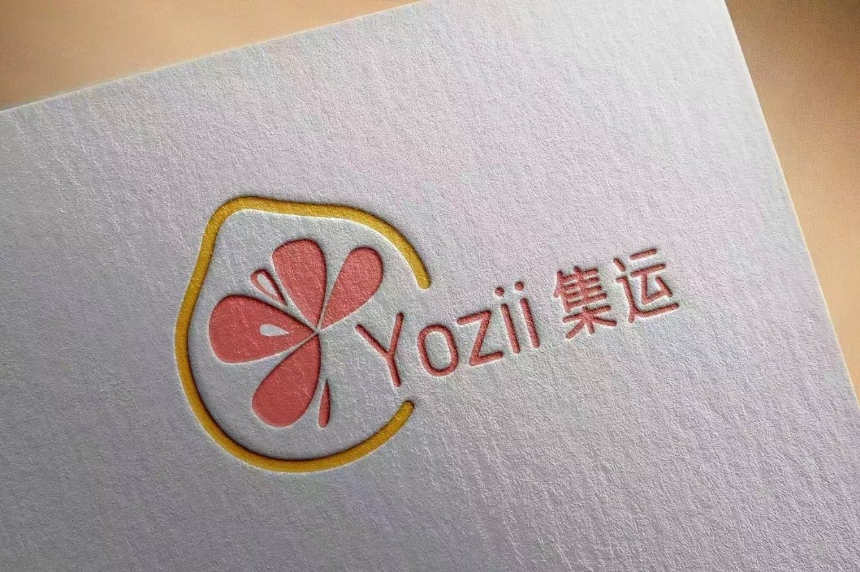 专注中法集运八年!