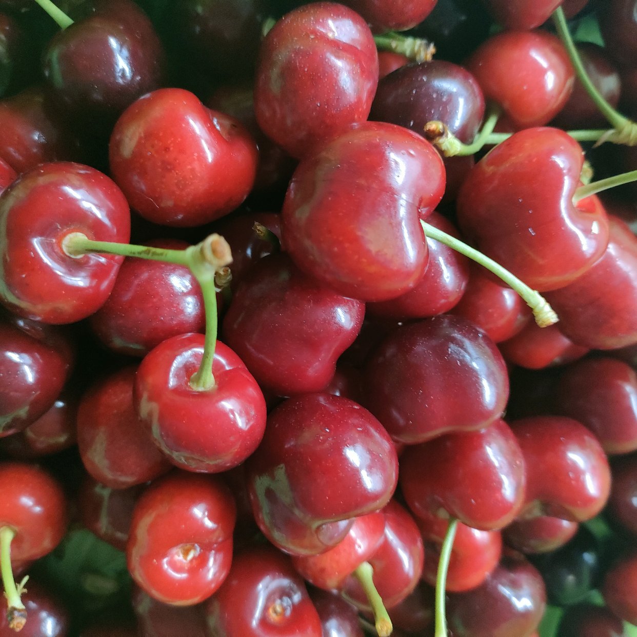 🍒