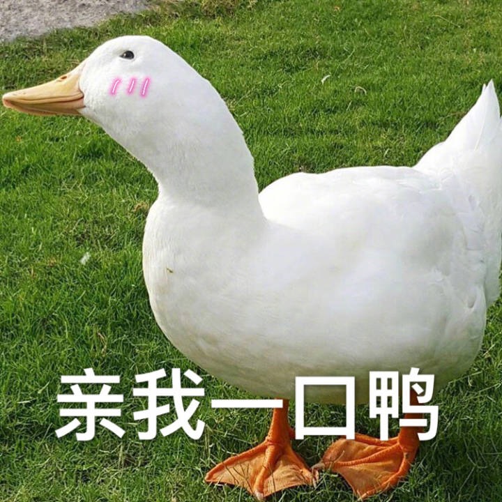 请问打折季几号结束呀？