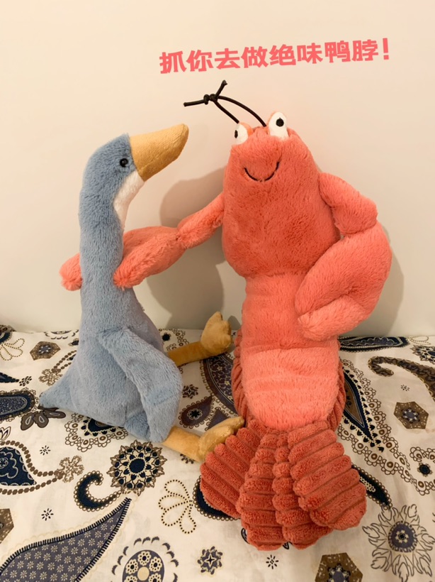 🦞大哥欺负新来的DUCK啦!