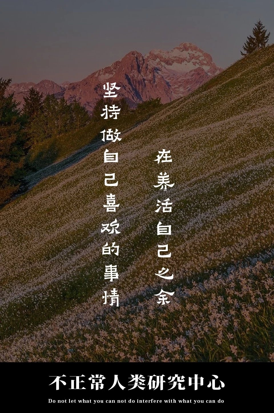 想收一个闲置的呼啦圈～或者有姐妹知道哪里能买到吗